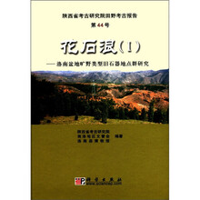 花石浪(Ⅰ洛南盆地旷野类型旧石器地点群研究)(精)