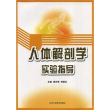 人体解剖学实验指导