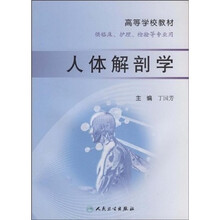 人体解剖学