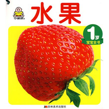 1岁宝宝全书（全10册）