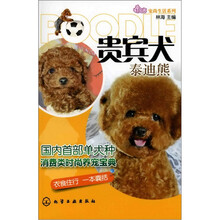 宠尚生活系列:贵宾犬(泰迪熊)