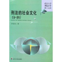 刑法的社会文化分析