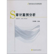 审计案例分析