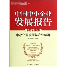 中国中小企业发展报告（2005-2006中小企业发展与产业集群）