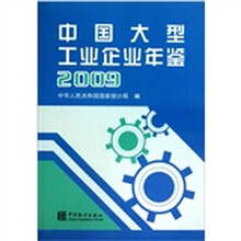中国大型工业企业年鉴2009