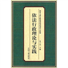 依法行政理论与实践