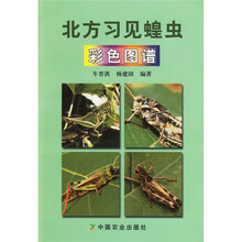 北方习见蝗虫（彩色图谱）