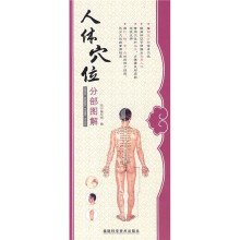 人体穴位分部图解