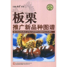 板栗推广新品种图谱