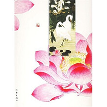 中国画花鸟鱼虫绘画大全