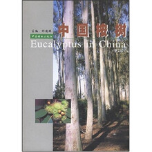 中国桉树