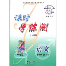 教与学同步辅导·课时学练测：数学6年级（下册）（人教版）
