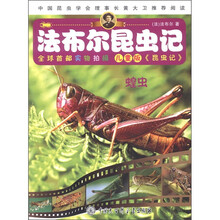法布尔昆虫记:蝗虫(儿童版)