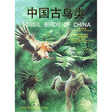 中国古鸟类