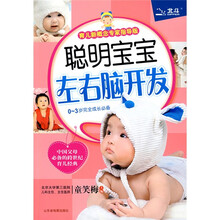 聪明宝宝左右脑开发(育儿新概念专家指导版)