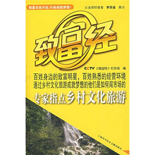 专家指点乡村文化旅游