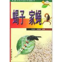 虫族数宝系列：蝎子家蝇