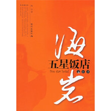 海岩作品:五星饭店