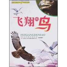 飞翔的鸟