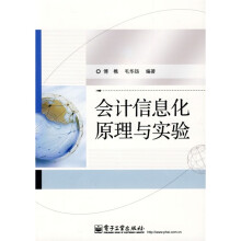 会计信息化原理与实验