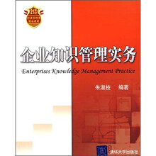 企业知识管理实务