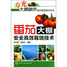 番茄大棚安全高效栽培技术