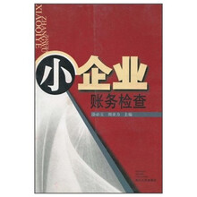 小企业账务检查