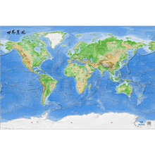 世界景观竹炭装饰地图