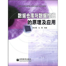 高等学校信息管理与信息系统专业系列教材：数据仓库与数据挖掘的原理及应用