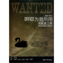 Office为我所用：实践者之路