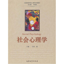 社会心理学(全国高等学校心理学系列教材)