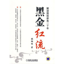 黑金红流：解读国投新集二十年