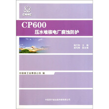 CP600压水堆核电厂腐蚀防护