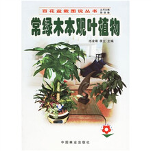 常绿木本观叶植物