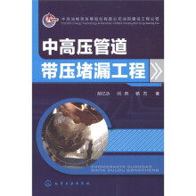 中高压管道带压堵漏工程