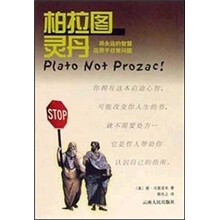 柏拉图灵丹