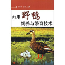 肉用野鸭饲养与繁殖技术