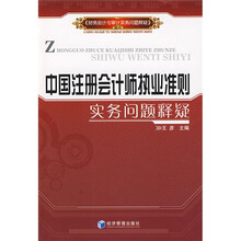 中国注册会计师执业准则实务问题释疑