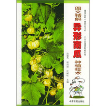 图文精解异形南瓜种植技术