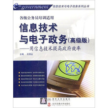 信息技术与电子政务（高级版）：用信息技术提高政府效率