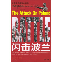 闪击波兰