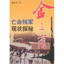 金三角:亡命残军现状探秘