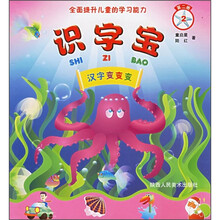 识字宝:汉字变变变(第2册)