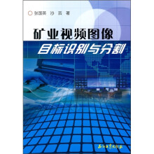 矿业视频图像：目标识别与分割