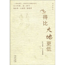 飞得比大地更低