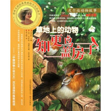 草地上的动物:知更鸟盖房子