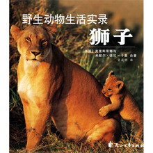 野生动物生活实录（狮子）