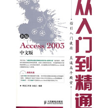 新编Access 2003中文版从入门到精通（附光盘1张）