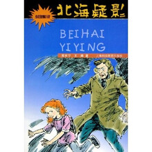 少年急智小说:北海疑影