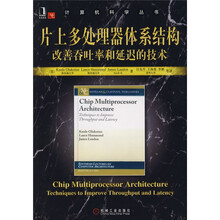 片上多处理器体系结构：改善吞吐率和延迟的技术